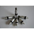 TPMS Aluminum Tire Valve